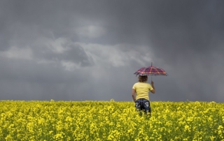 medicare special enrollment period