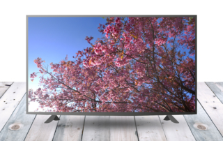 travel documentaries